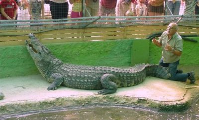 The Crocodile Park in Torremolinos